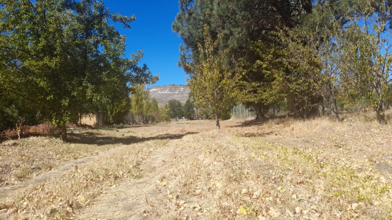 Oportunidad de Inversión Hermosa parcela sobre Ruta 40