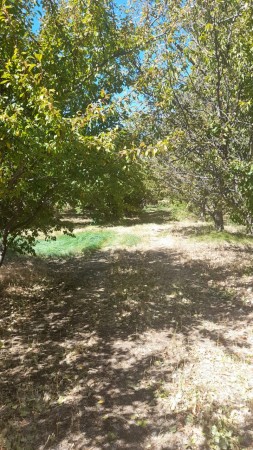 Oportunidad de Inversión Hermosa parcela sobre Ruta 40