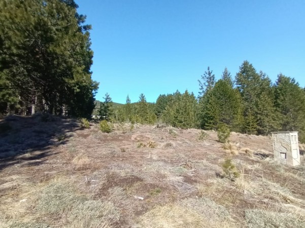 MAGNIFICO LOTE EN EL DESAFÍO