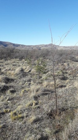 Gran Lote en Loteo Huechulafquen Nº 13 Mz 106