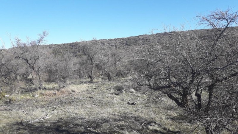 Gran Lote en Loteo Huechulafquen Nº 13 Mz 106