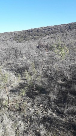 Gran Lote en Loteo Huechulafquen Nº 13 Mz 106