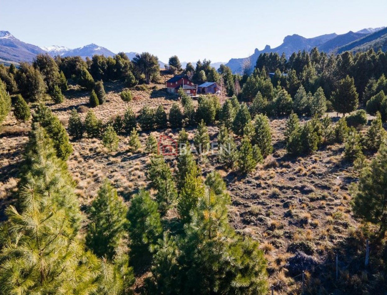 Lotes planos a 1000 mts de Lago Meliquina