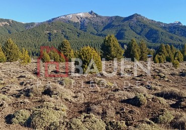 Muy lindo Terreno en Villa Lago Meliquina, San Martin de los Andes, Neuquen